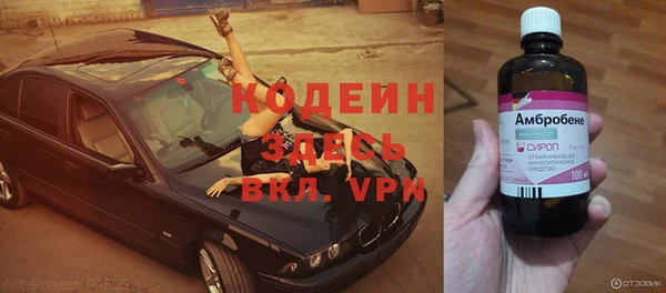 ПСИЛОЦИБИНОВЫЕ ГРИБЫ Баксан