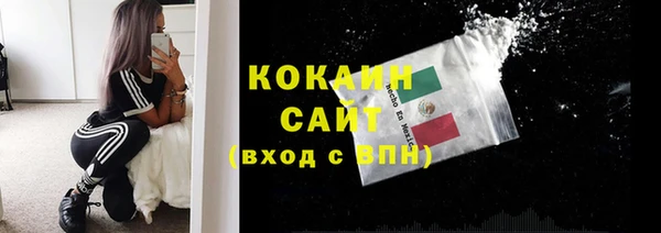 ПСИЛОЦИБИНОВЫЕ ГРИБЫ Баксан