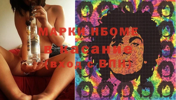 ПСИЛОЦИБИНОВЫЕ ГРИБЫ Баксан