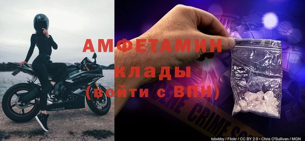 ПСИЛОЦИБИНОВЫЕ ГРИБЫ Баксан