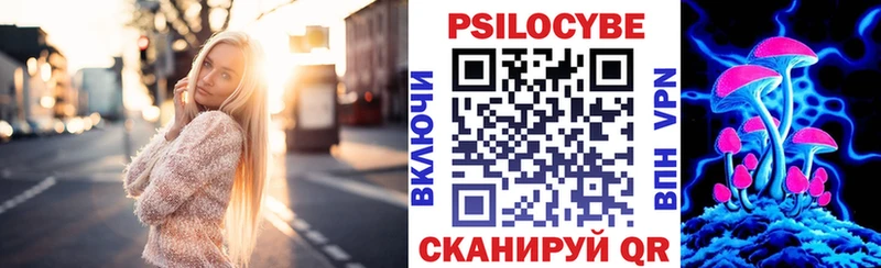 Псилоцибиновые грибы MAGIC MUSHROOMS  как найти наркотики  Красноармейск 
